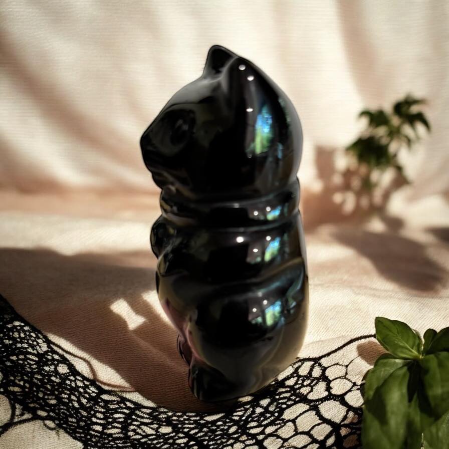 chat en obsidienne noire