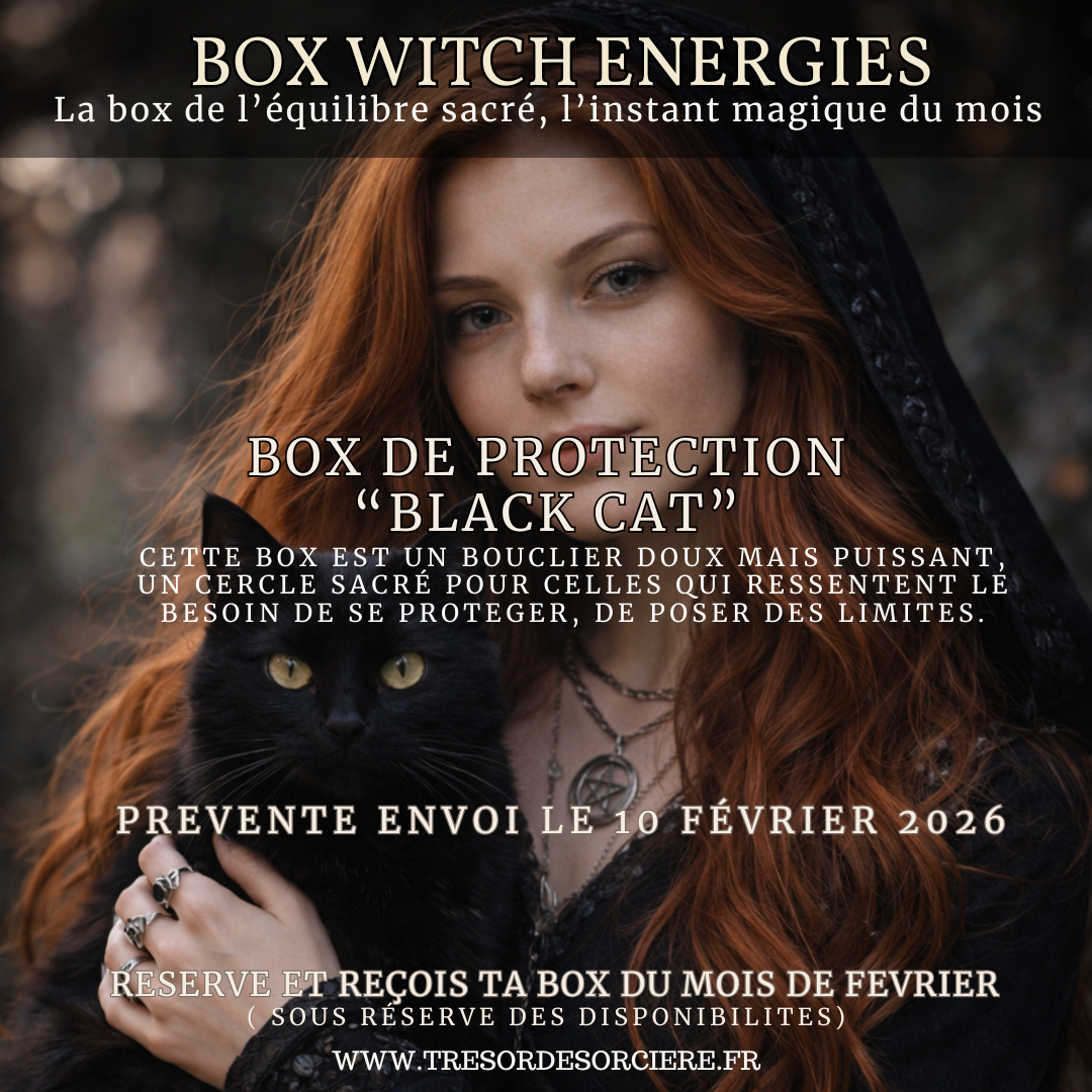 Box de protection "black cat", box spirituelle, box sorcière, février 2026