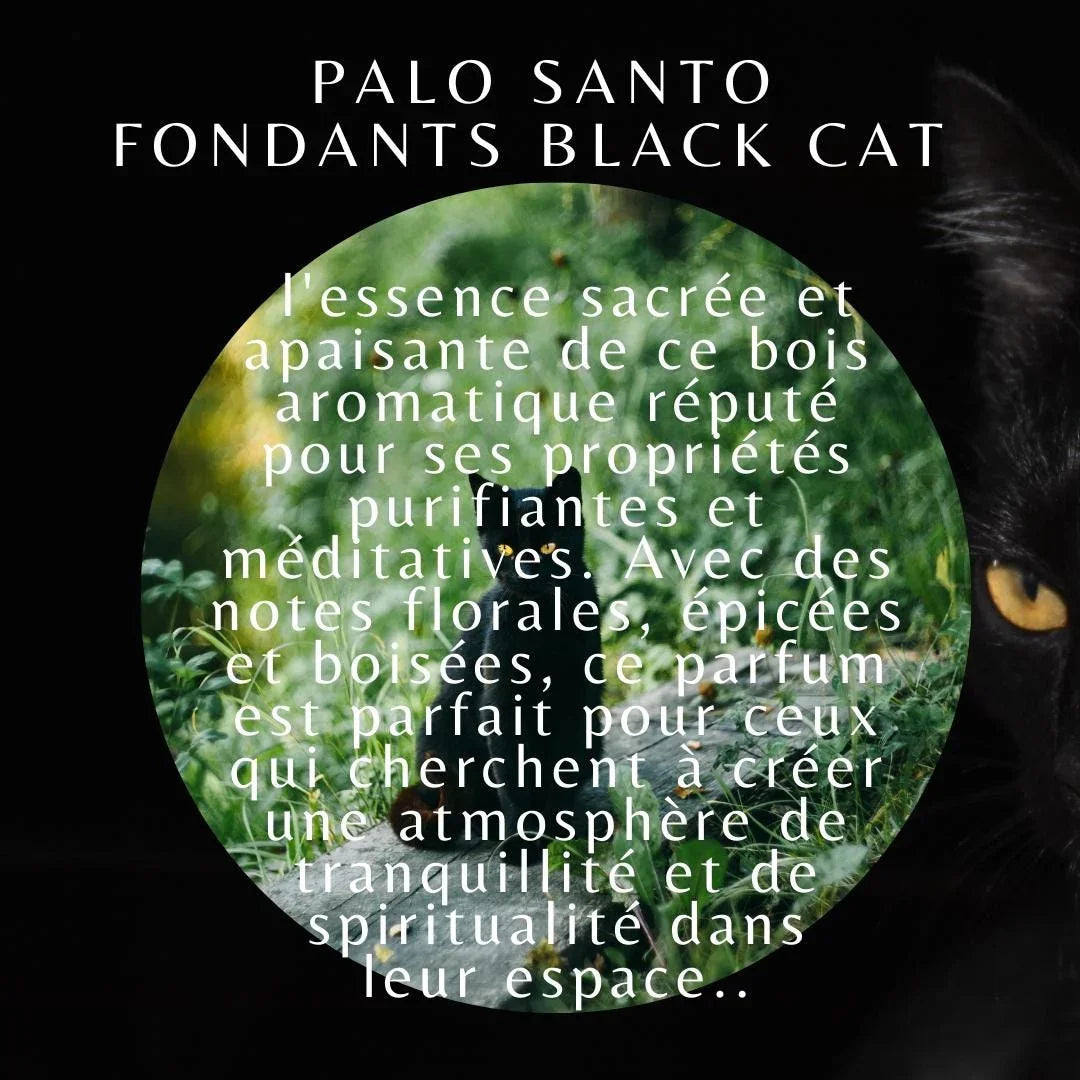 Fondants Black Cat, fondants de cire d'olive