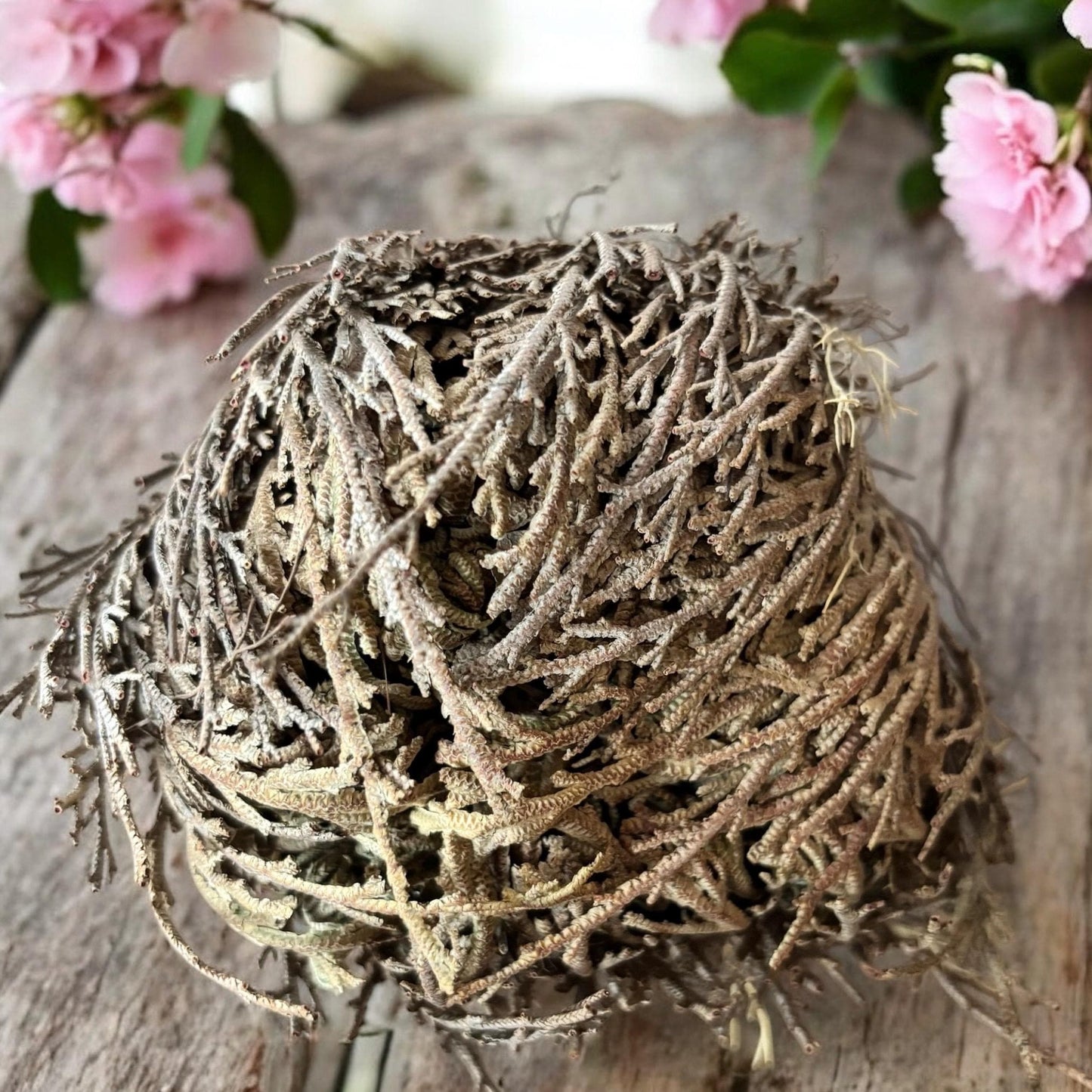 box Ostara, box sorcière, witchbox, box spirituelle, sabbat Ostara