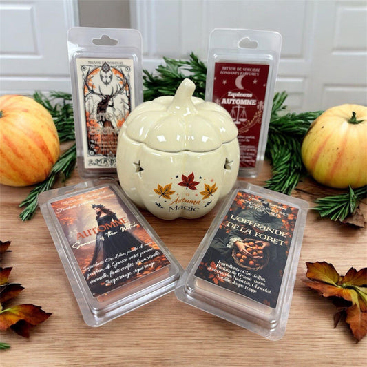 coffret d'automne, coffret de fondants parfumés, brûleur à cire citrouille, fondants parfumés automne, magic automn