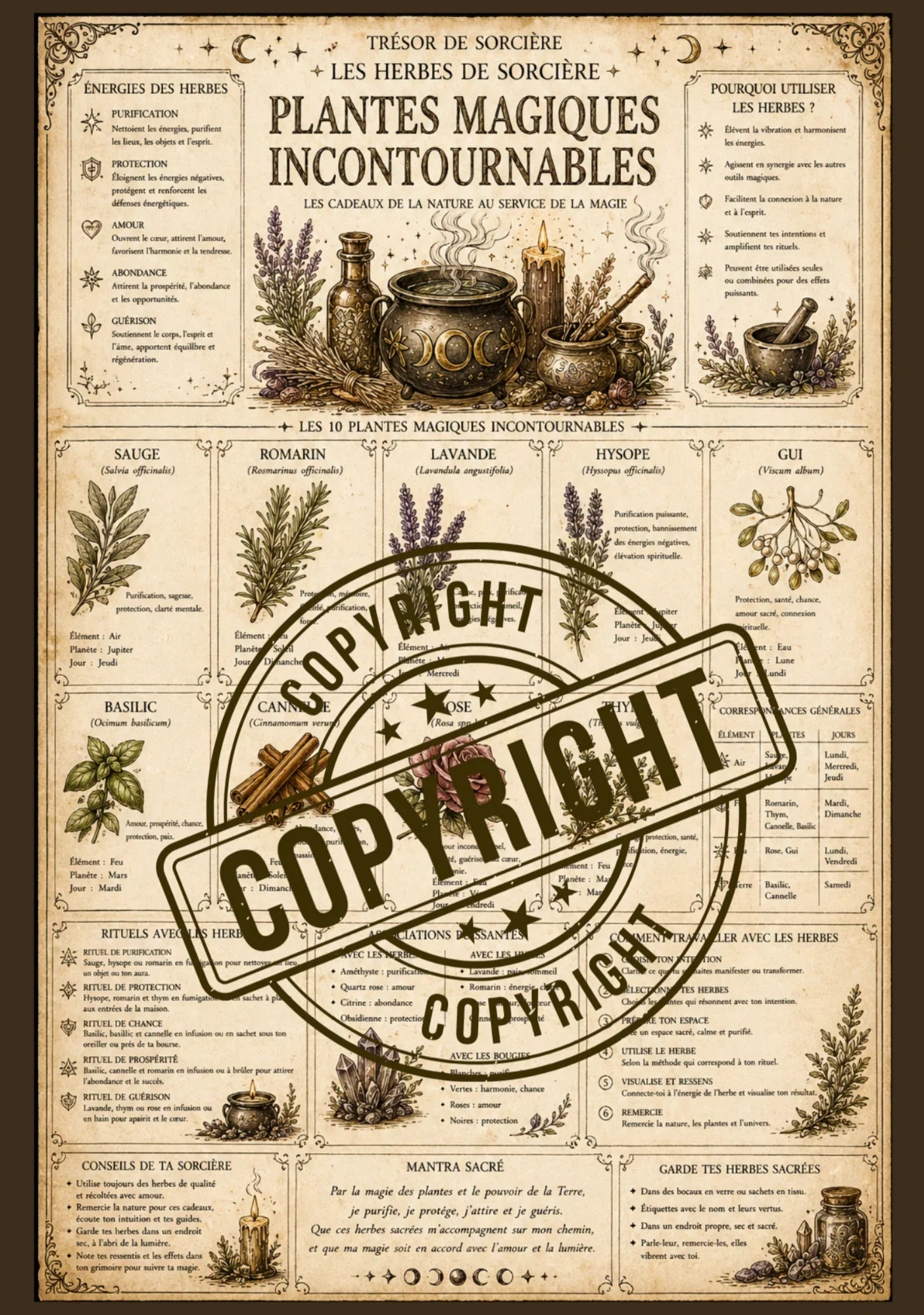 Téléchargement affiche "plantes magiques" -A3-A4