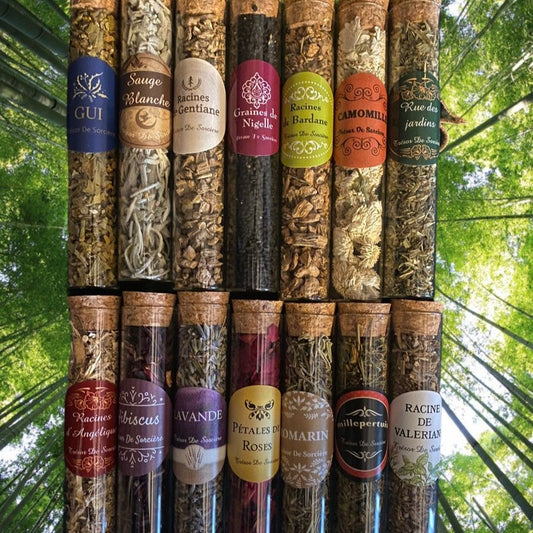 lot de 14 fioles herbes sorcières