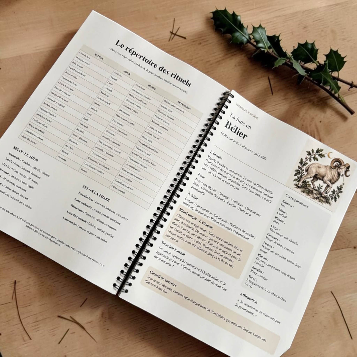 calendrier des sorcières
