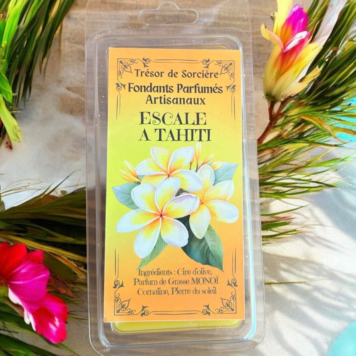 Pack de fondants parfumés "découverte"