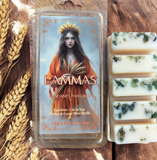 Fondants de cire parfumés Lammas