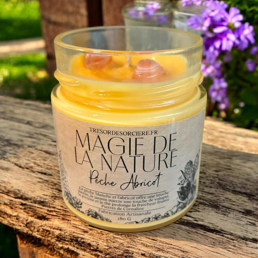 Bougie magie de la nature "pêche abricot"