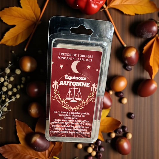 Fondants parfumés "Equinoxe d'automne", fondants sorcière, fondants d'intention