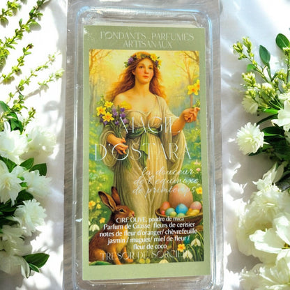 Box d'Ostara, witch box Ostara, box spirituelle, box sorcière, sabbat d'Ostara