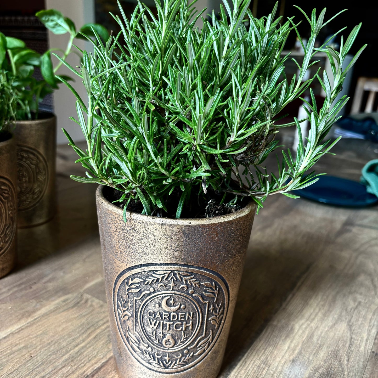 Pot witch garden