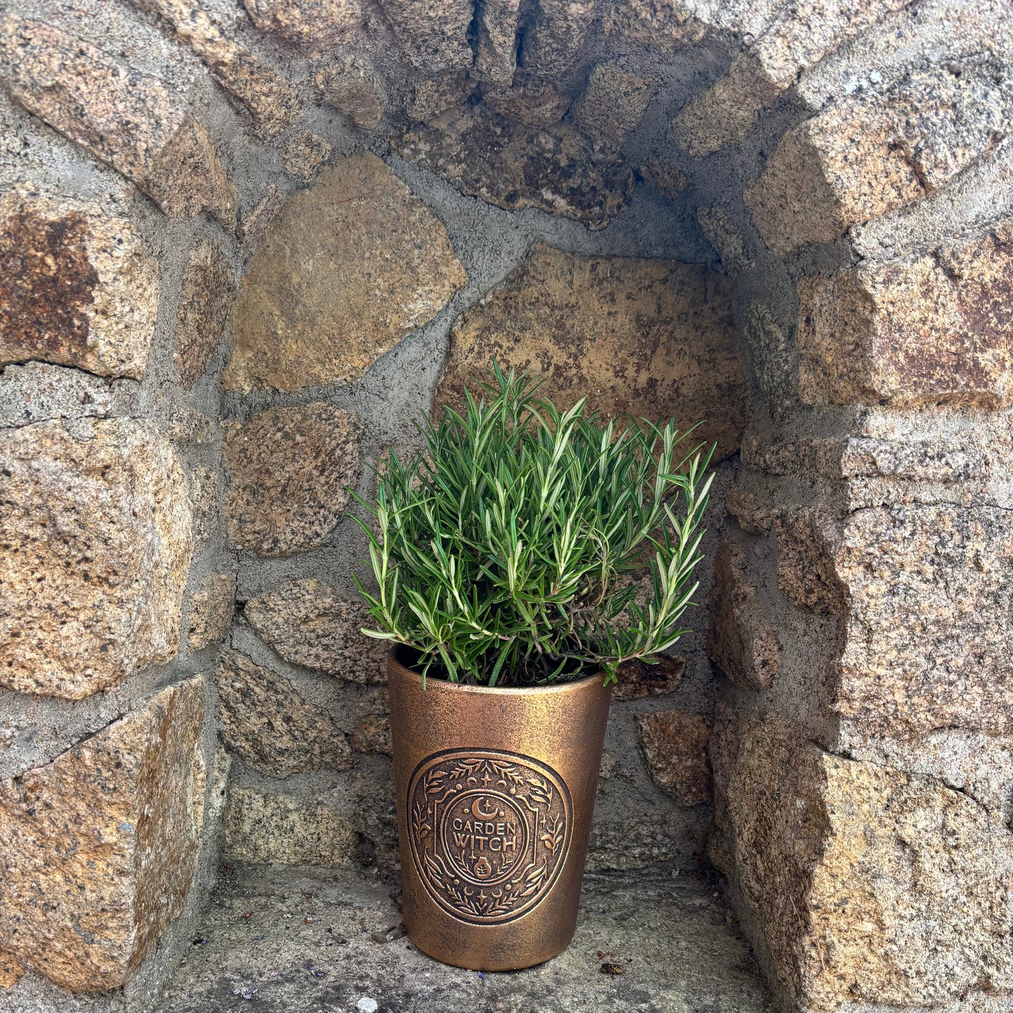 Pot witch garden