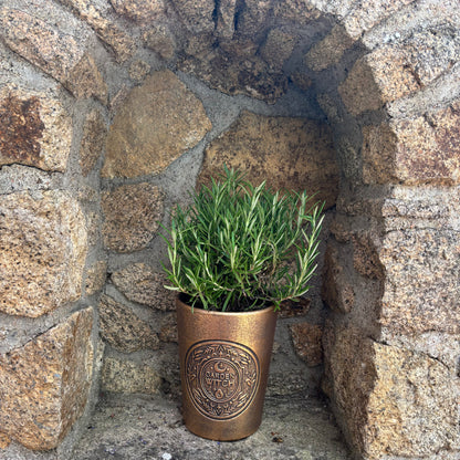 Pot witch garden