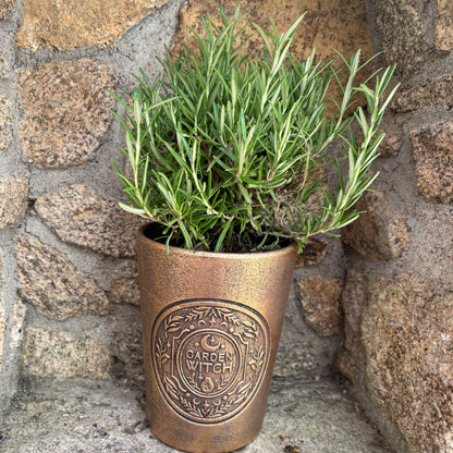 Pot witch garden