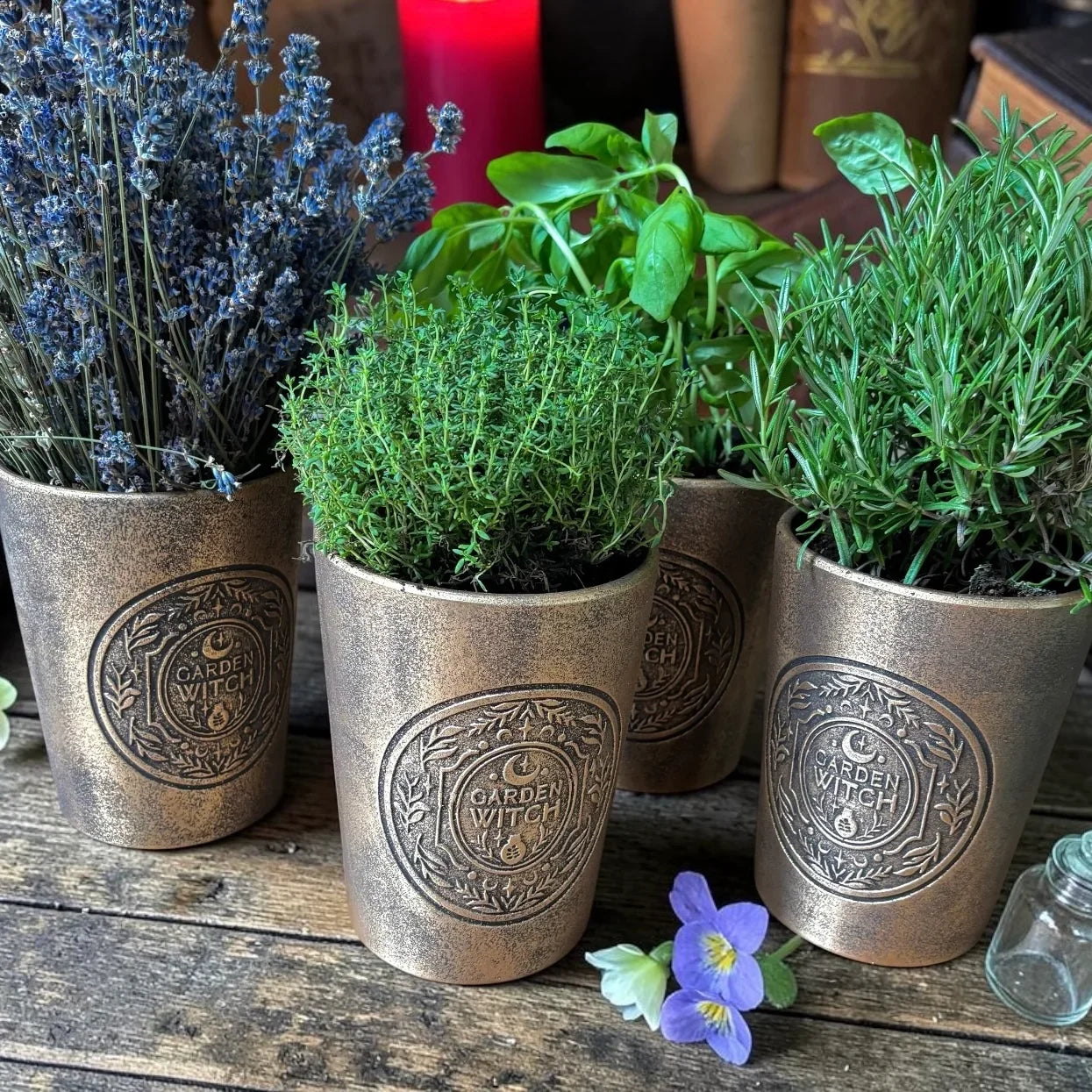 Pot witch garden