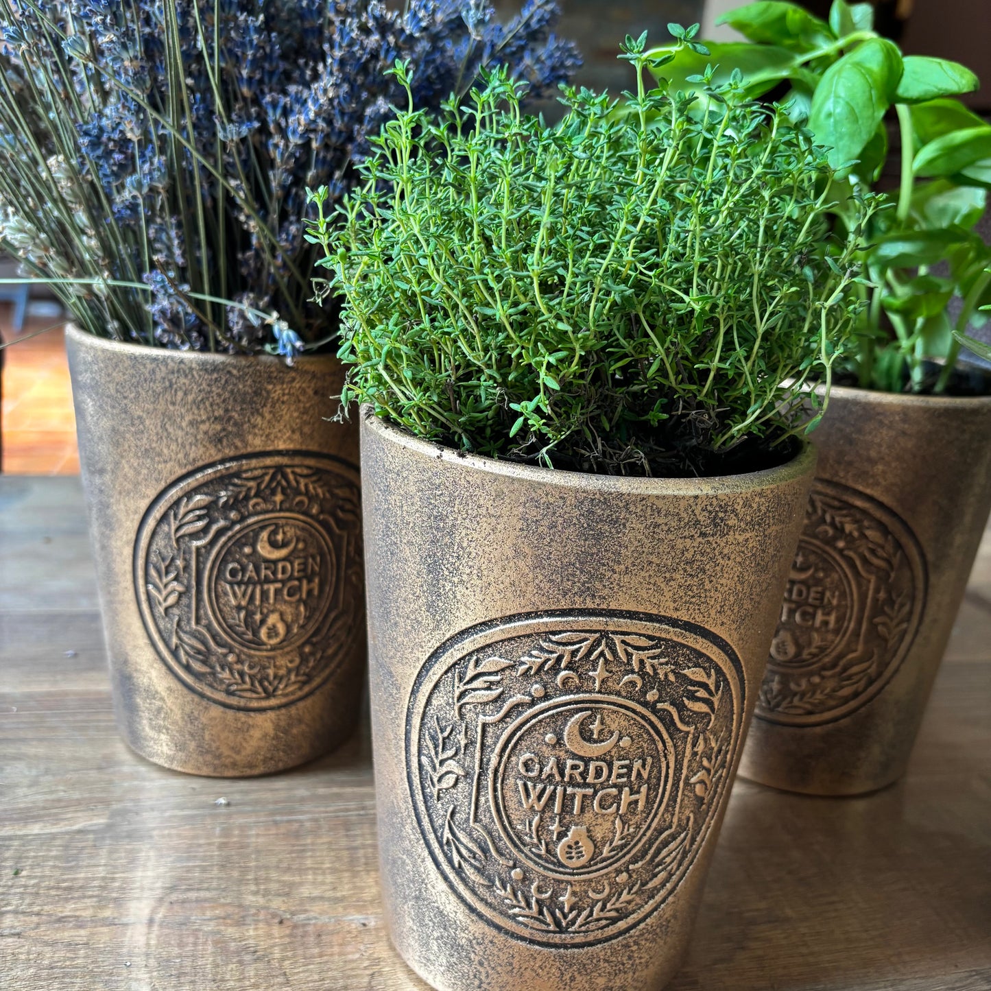 Pot witch garden