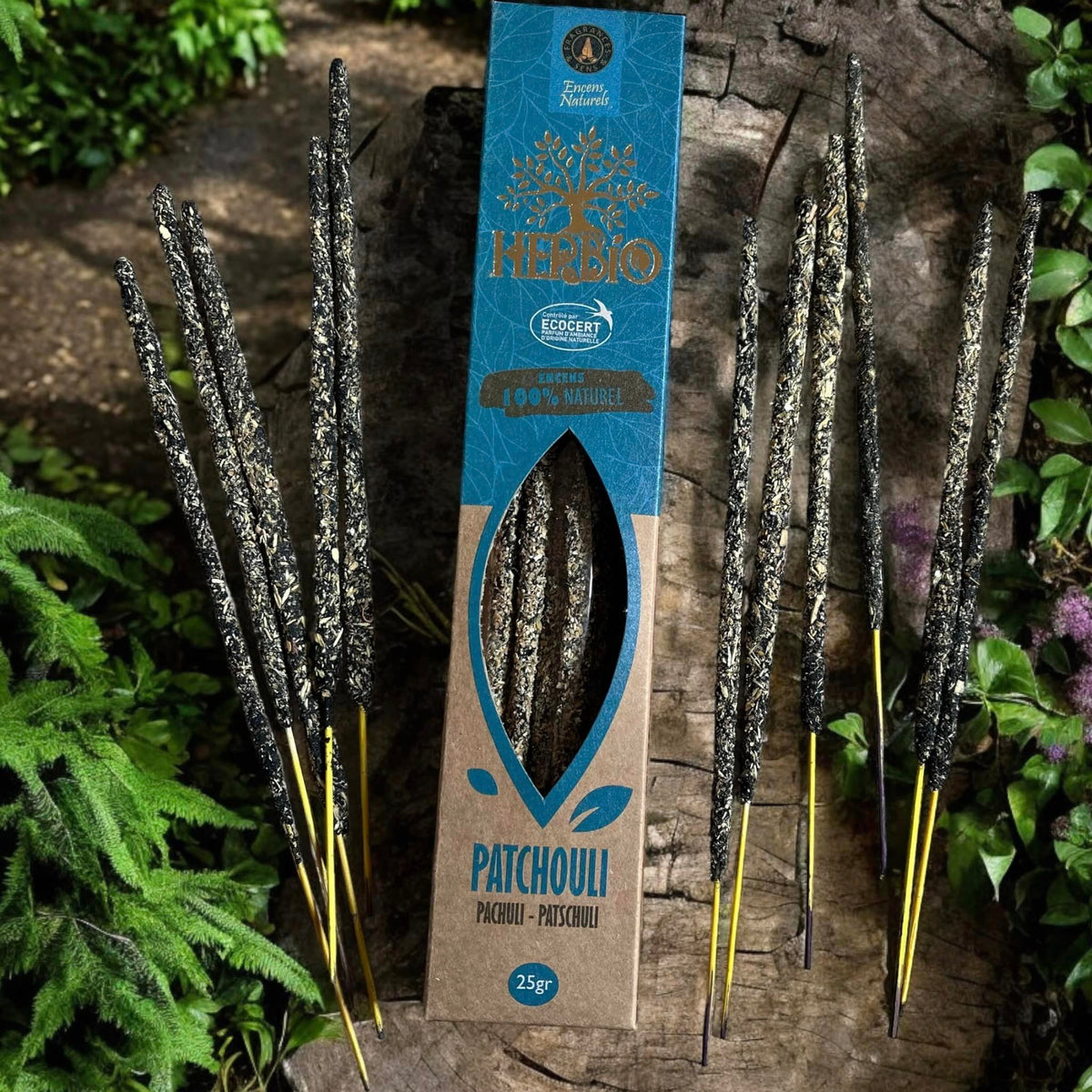 Pack de 6 boîtes d'encens HERBIO + porte encens