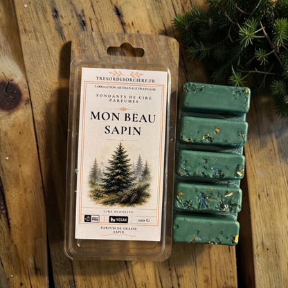 Fondants de cire parfumés Noël 