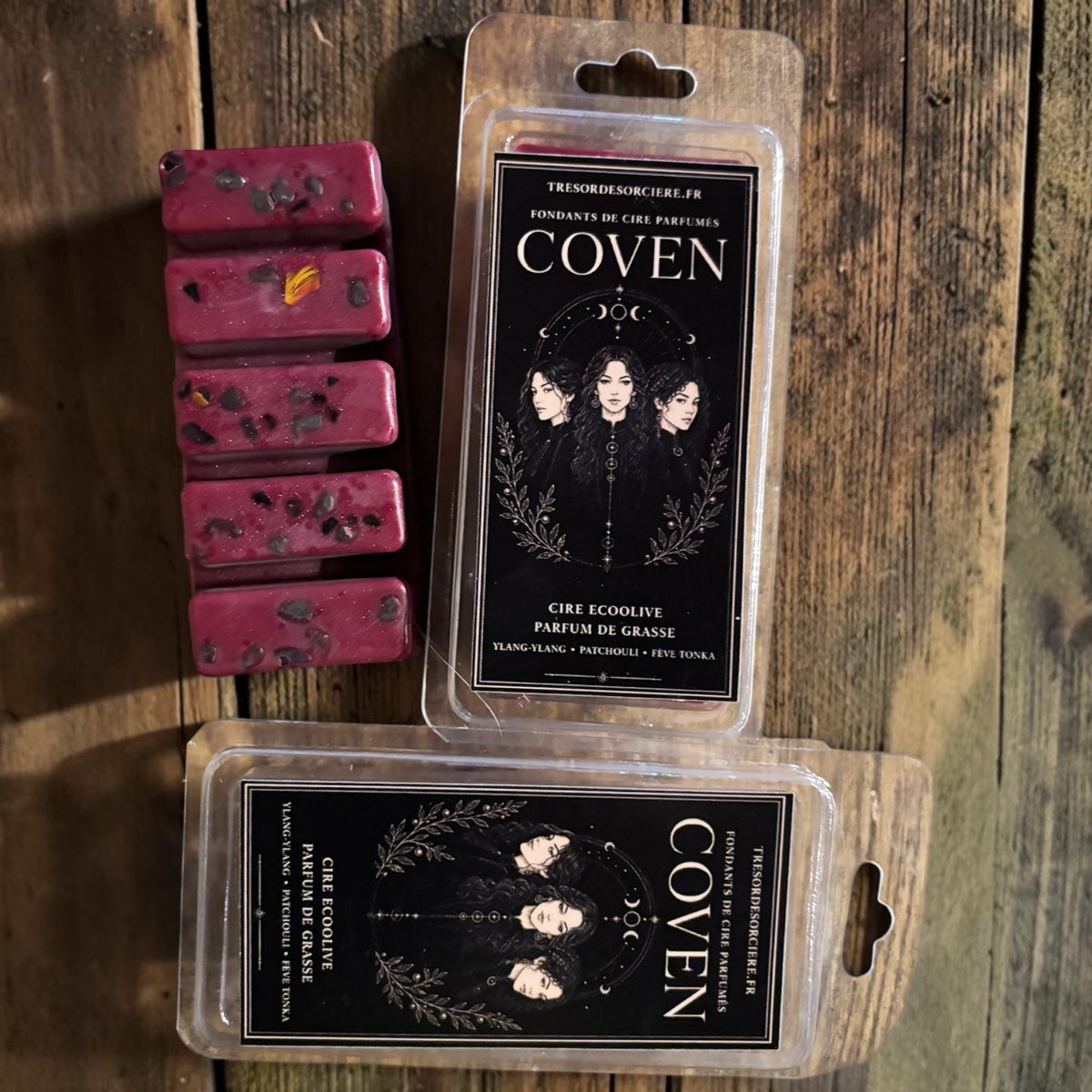 Coven de sorcière 