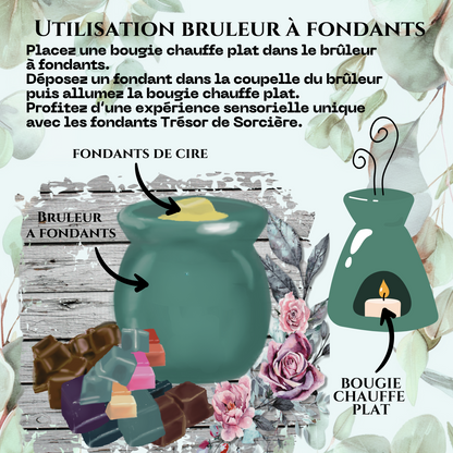 Fondants de cire parfumés Lammas