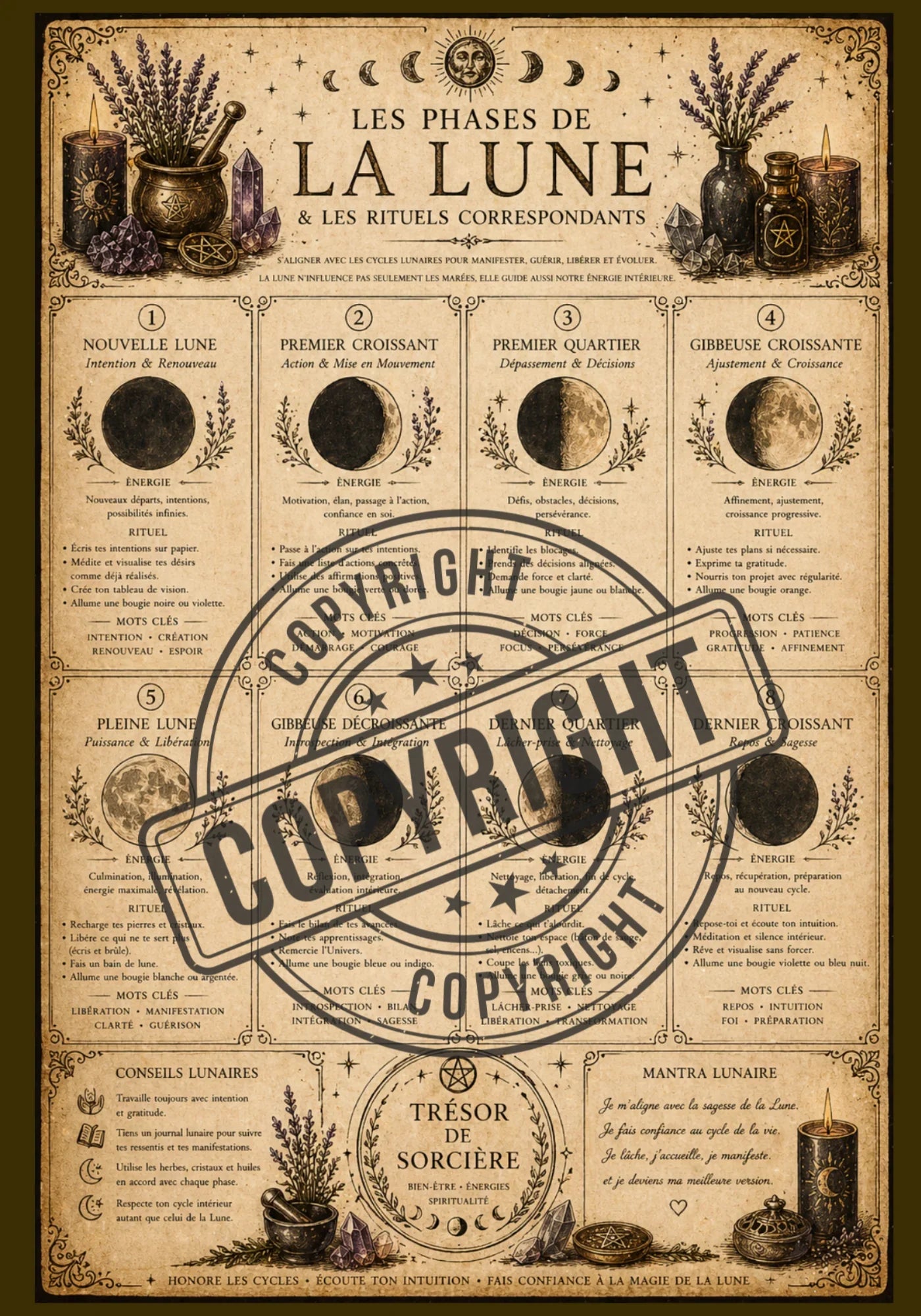 Téléchargement affiche" phases lunaires" - A3-A4