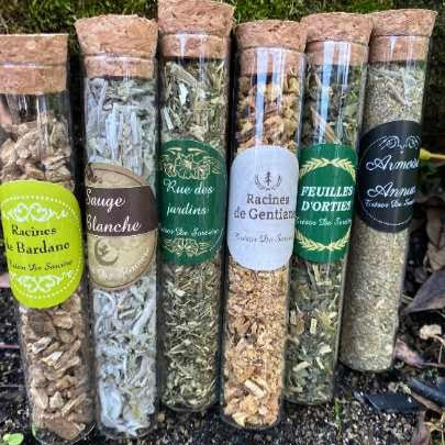 Lot de 6 fioles d'herbes
