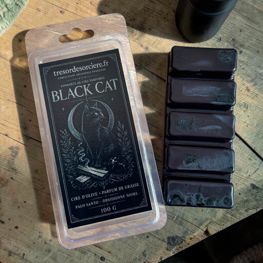 fondants sorcière black cat