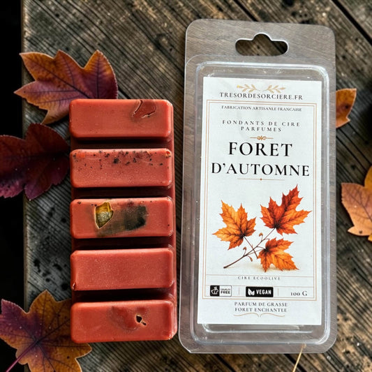 Fondants de Mabon, fondants de cire parfumés forêt d'automne