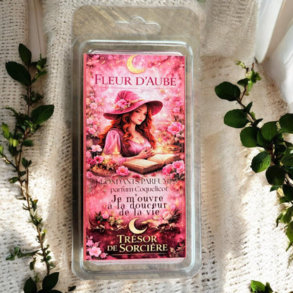 coffret fondants de cire parfumés, fondants Ostara, fondants magiques, fondants sorcière, fondants witchy