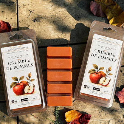 fondants de cire pommes, fondants parfumés automne, fondants cire