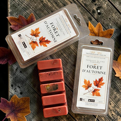 Fondants parfumés boisés 