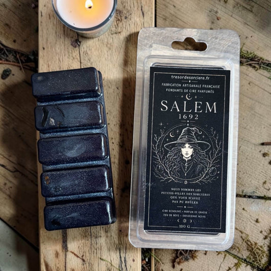 fondants de cire parfumés salem