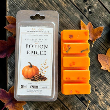 Fondants Potion Épicée, fondants de cire sorcière automne