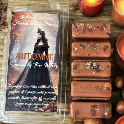 Fondants parfumés Automne, fondants sorcière scintillants