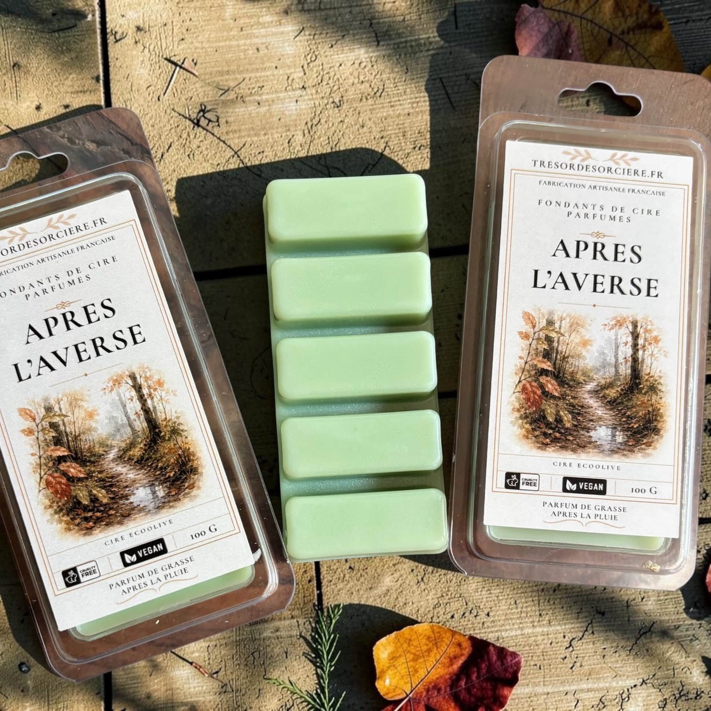 fondants de cire parfumés, fondants ambiance automne, fondants sorcière