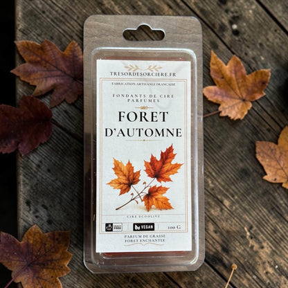 Fondants ambiance forêt d'automne sorcière