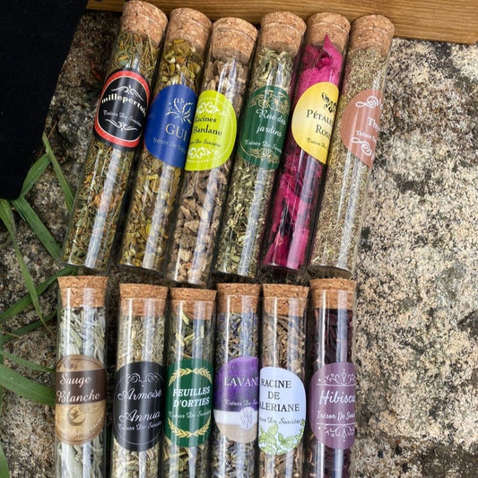lot de 14 fioles herbes sorcières