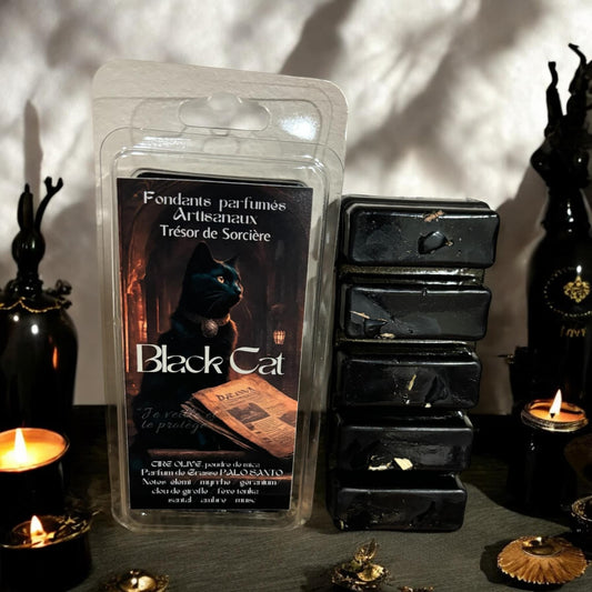 fondants de cire parfumés, fondants parfumés sorcière, fondants d'intentions, fondants parfumés en cire d'olive, black cat