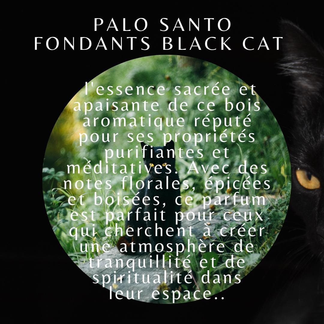 fondants de cire parfumés, fondants parfumés sorcière, fondants d'intentions, fondants parfumés en cire d'olive, black cat