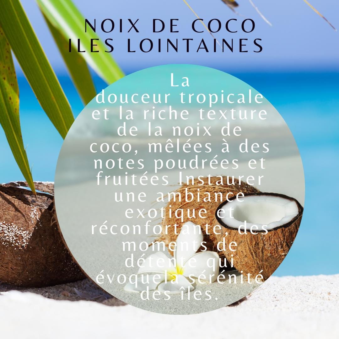 Fondants parfumés noix de coco, fondants de cire, fondants "Iles lointaines", fondants de cire d'olive, idée cadeau