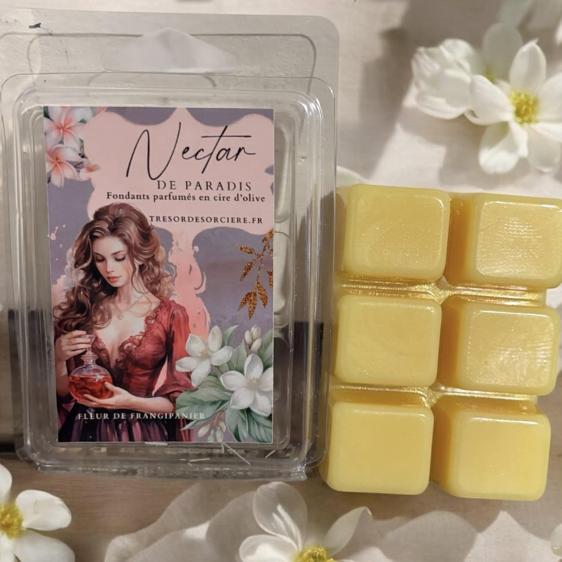coffret de fondants avec brûle parfum, coffret fondants parfumés, fondants sorcière, fondants de cire d'olive