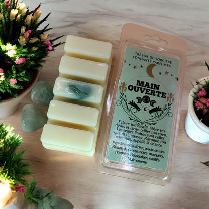 Fondants de cire parfumés, fondants "main ouverte", fondants sorcière, fondants d'intention, fondants magiques