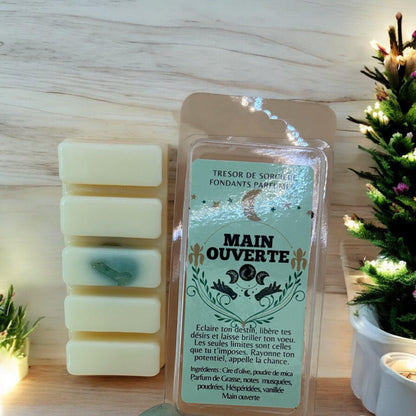 Fondants de cire parfumés, fondants "main ouverte", fondants sorcière, fondants d'intention, fondants magiques