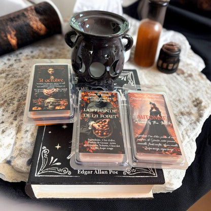 Coffret de fondants de cire parfumés " sortilèges d'ambiance", fondants parfumés, brûleur à fondants