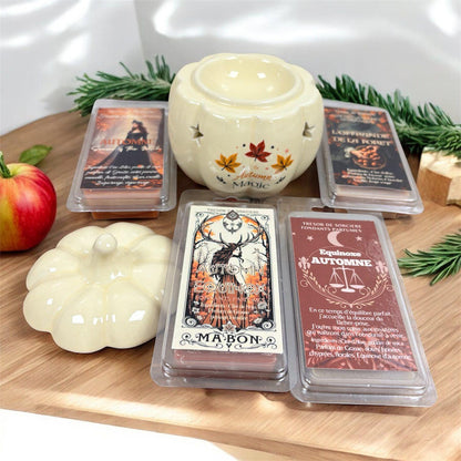 coffret d'automne, coffret de fondants parfumés, brûleur à cire citrouille, fondants parfumés automne, magic automn