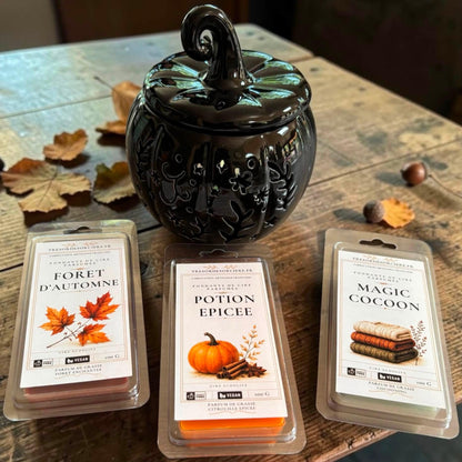 Coffret de fondants de cire parfumés et brûleur à fondants, coffret fondants parfumés automne