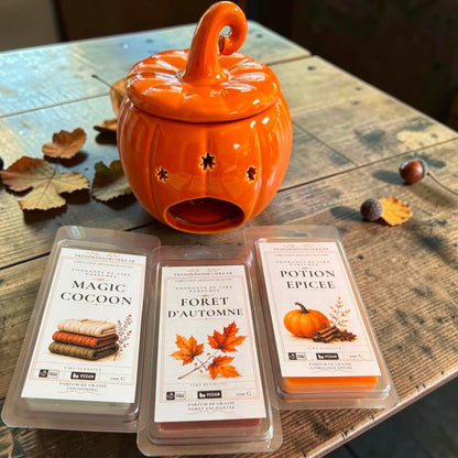 Coffret de fondants de cire parfumés et brûleur à fondants, coffret fondants parfumés automne