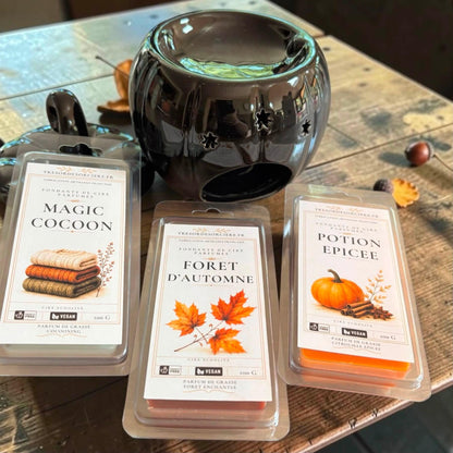 Coffret de fondants de cire parfumés et brûleur à fondants, coffret fondants parfumés automne