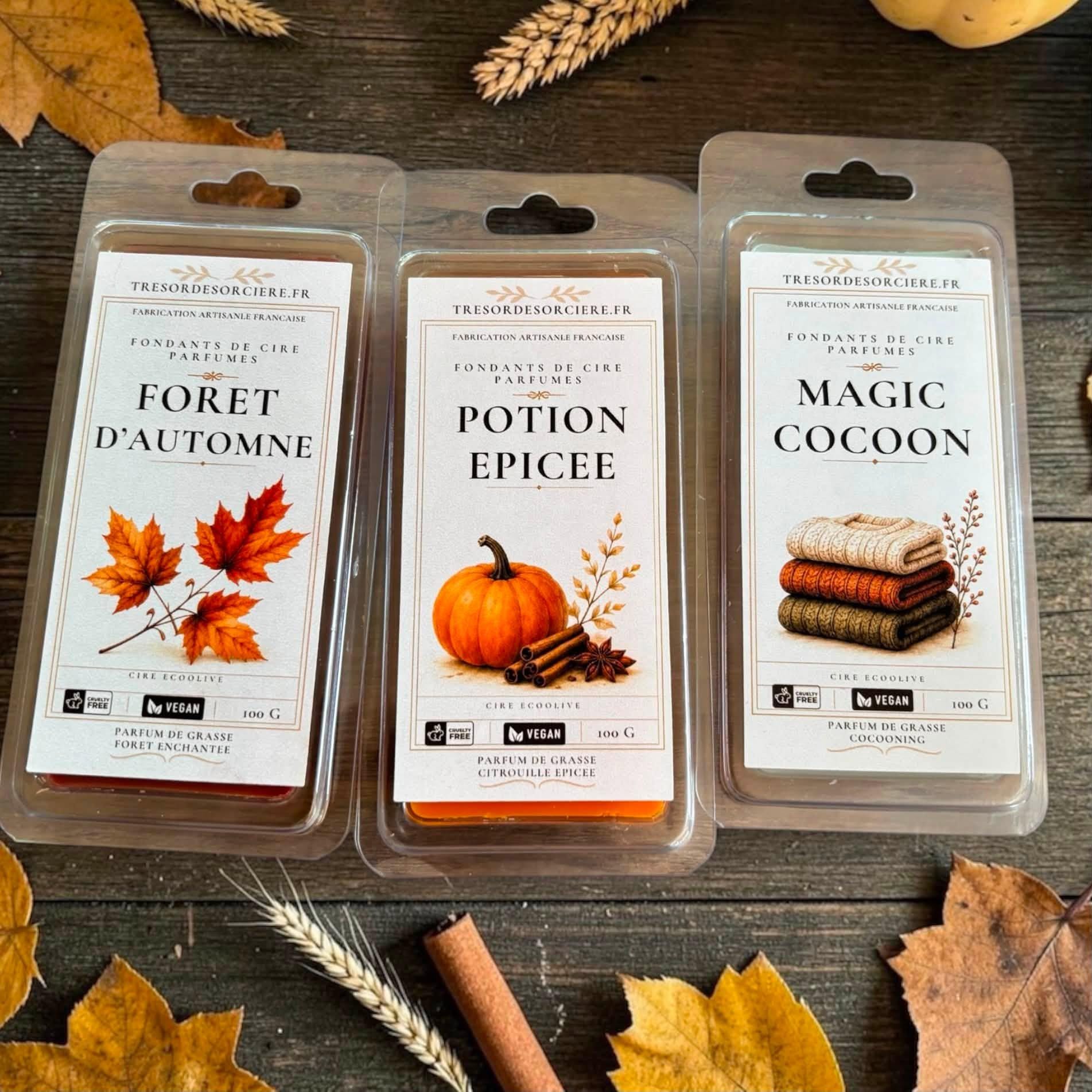 Coffret de fondants de cire parfumés et brûleur à fondants, coffret fondants parfumés automne