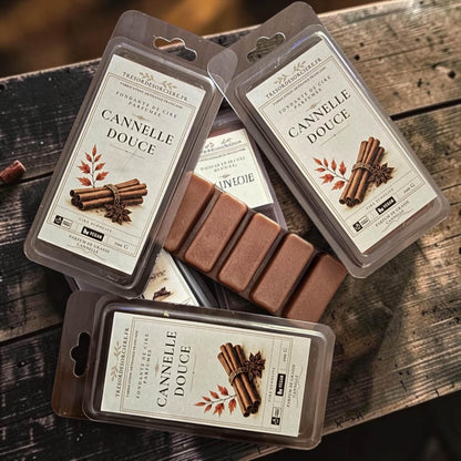 Fondants parfumés Cannelle Douce, ambiance brûle-parfum