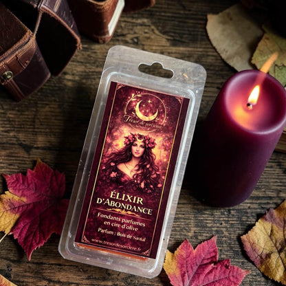 Fondants de cire parfumés "élixir d'abondance", fondants équinoxe automne, fondants de mabon